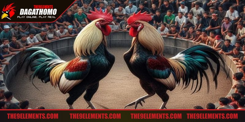 Phân tích kỹ lưỡng tỷ lệ kèo nhà cái đưa ra để dự đoán chính xác kết quả