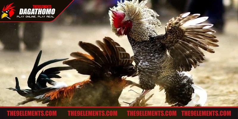 Kết hợp linh hoạt giữa tấn công và phòng thủ đúng thời điểm