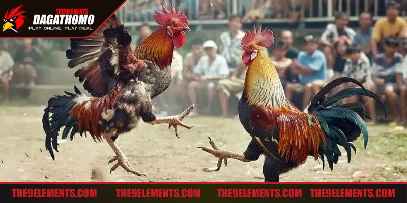 Tìm hiểu đối thủ để có thể đưa ra chiến thuật phù hợp