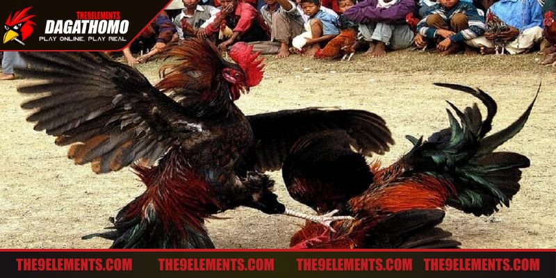 Tập đối kháng cũng là bước không thể thiếu để cải thiện lực đá