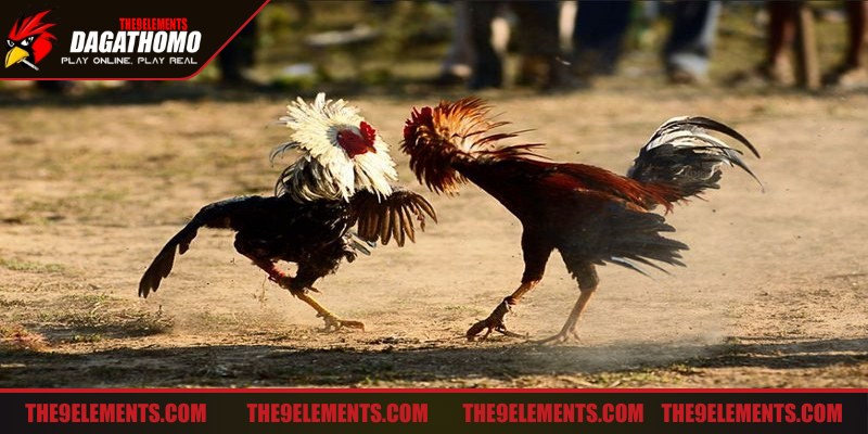 Rèn luyện kỹ năng ra đòn tấn công cho từng đối thủ khác nhau