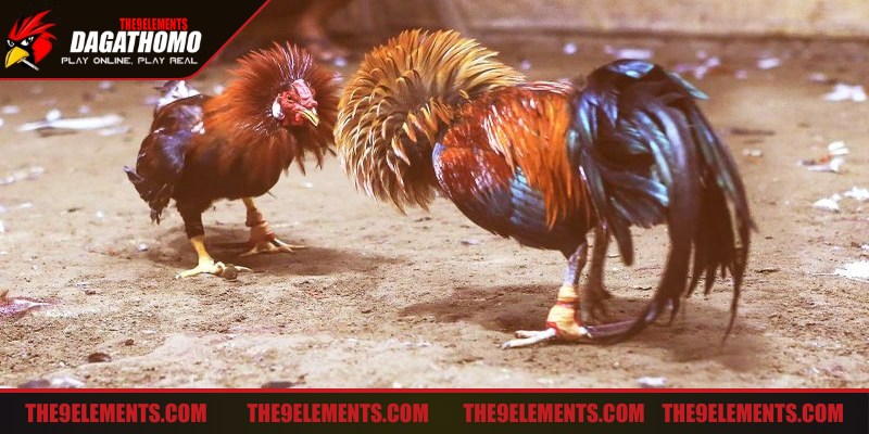 Lựa chọn thời điểm thích hợp tham gia mang lại hiệu quả cao