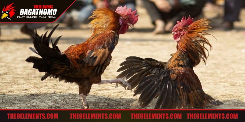 Tìm hiểu kỹ cách thức đặt cược, quy định trả thưởng tránh bị lừa