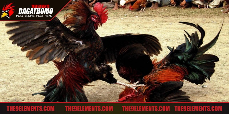 Giữ bình tĩnh để đưa ra quyết định đúng đắn là rất quan trọng