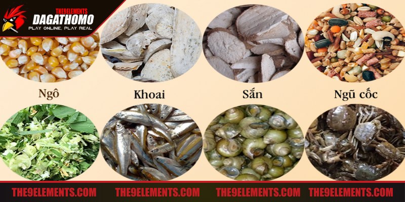 Dinh dưỡng hợp lý giúp xây dựng thể trạng khỏe mạnh