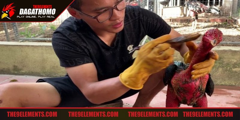 Om bóp giúp giải tỏa áp lực cơ bắp kích thích máu lưu thông