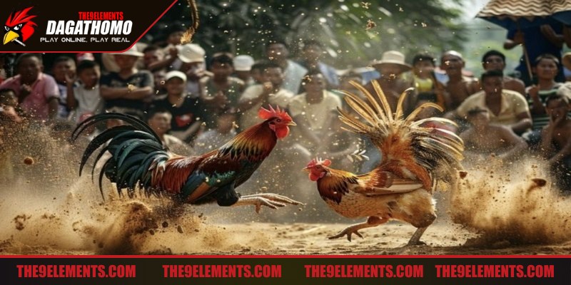 Sử dụng kỹ thuật né tránh và chặn đòn là mẹo quan trọng