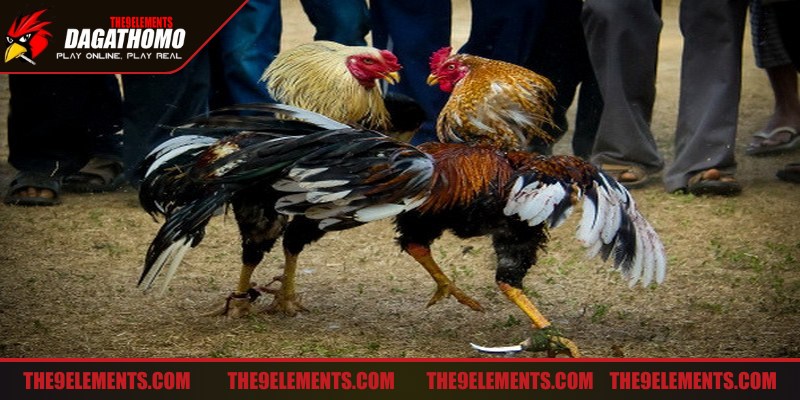 Nghiên cứu đối thủ kỹ lưỡng trước là đặc biệt rất quan trọng