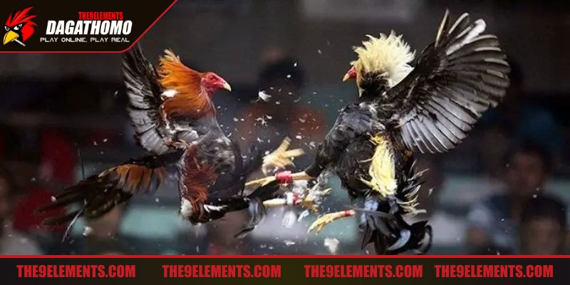 BJ88 nổi bật nhờ công nghệ tiên tiến mang lại trải nghiệm vượt trội