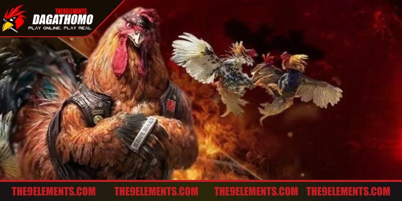 Lựa chọn sàn đá gà Thomo uy tín tận hưởng những trận đấu đỉnh cao