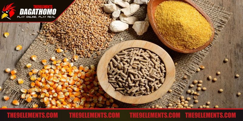 Những loại thức ăn bổ dưỡng cho gà đá chính chứa tinh bột